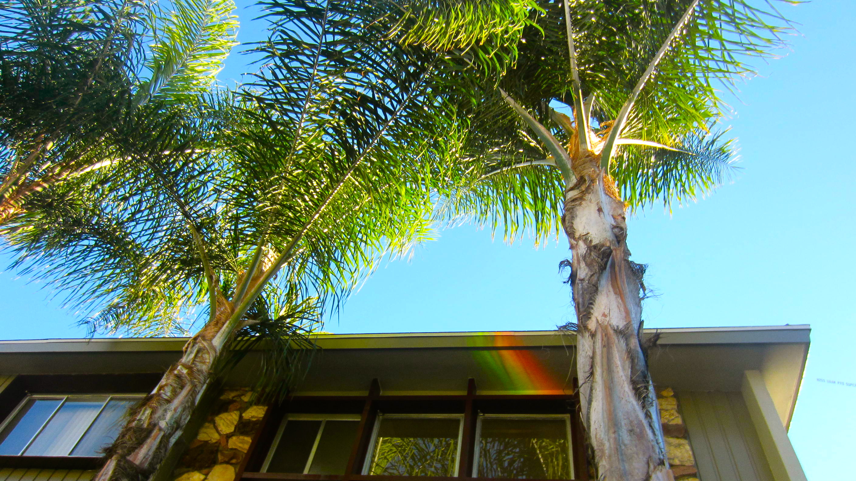 Winter In Los Angeles 