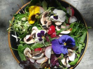 1517525_10103548990042320_298229737_n