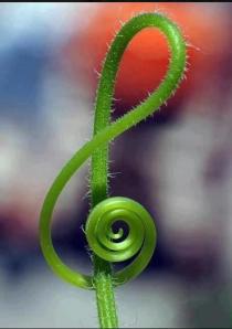 65463_354021391354218_834561335_n