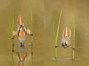 377641_364870133592168_2091872150_n