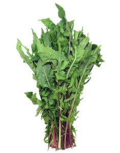 dandelion-greens-lg