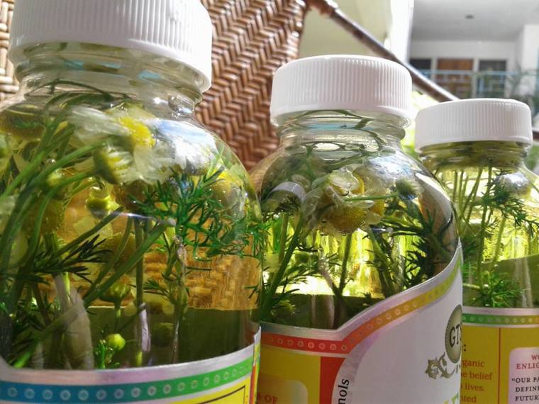 17861479_10107846523351120_8055848404665779362_n