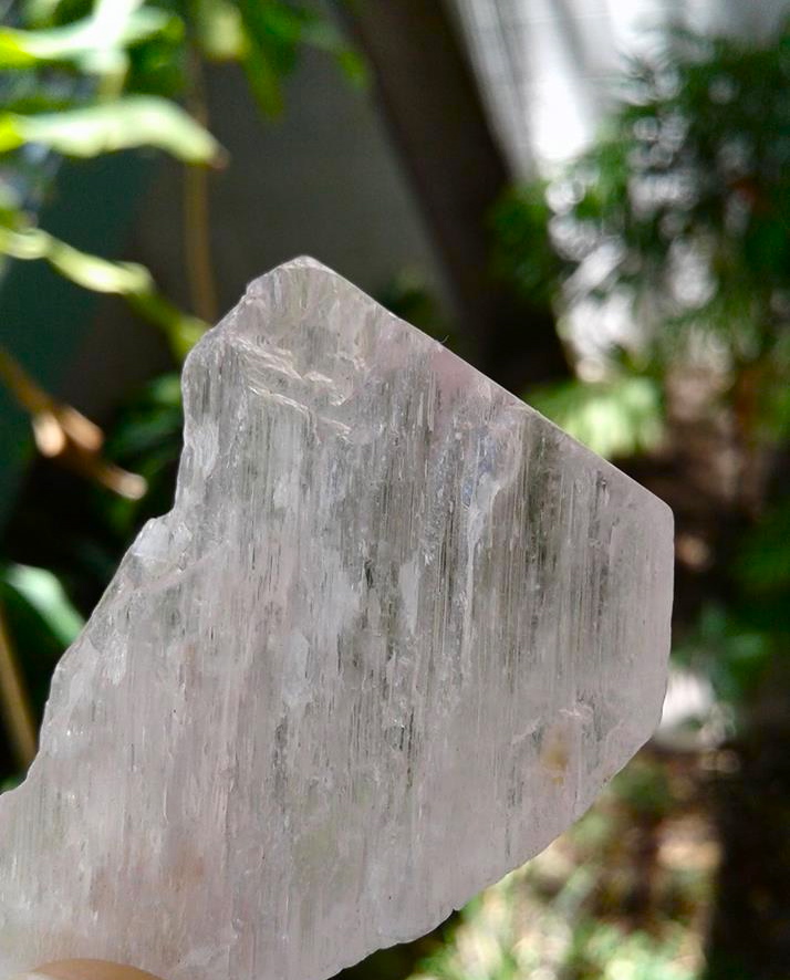 18519677_10108010037981490_7742575255495228933_n