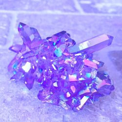 d79fbb5d48b4d32b6e14cc6658b6cc51